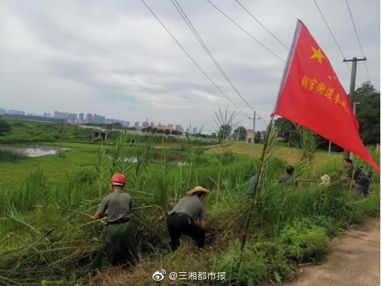 程力專用汽車股份有限公司